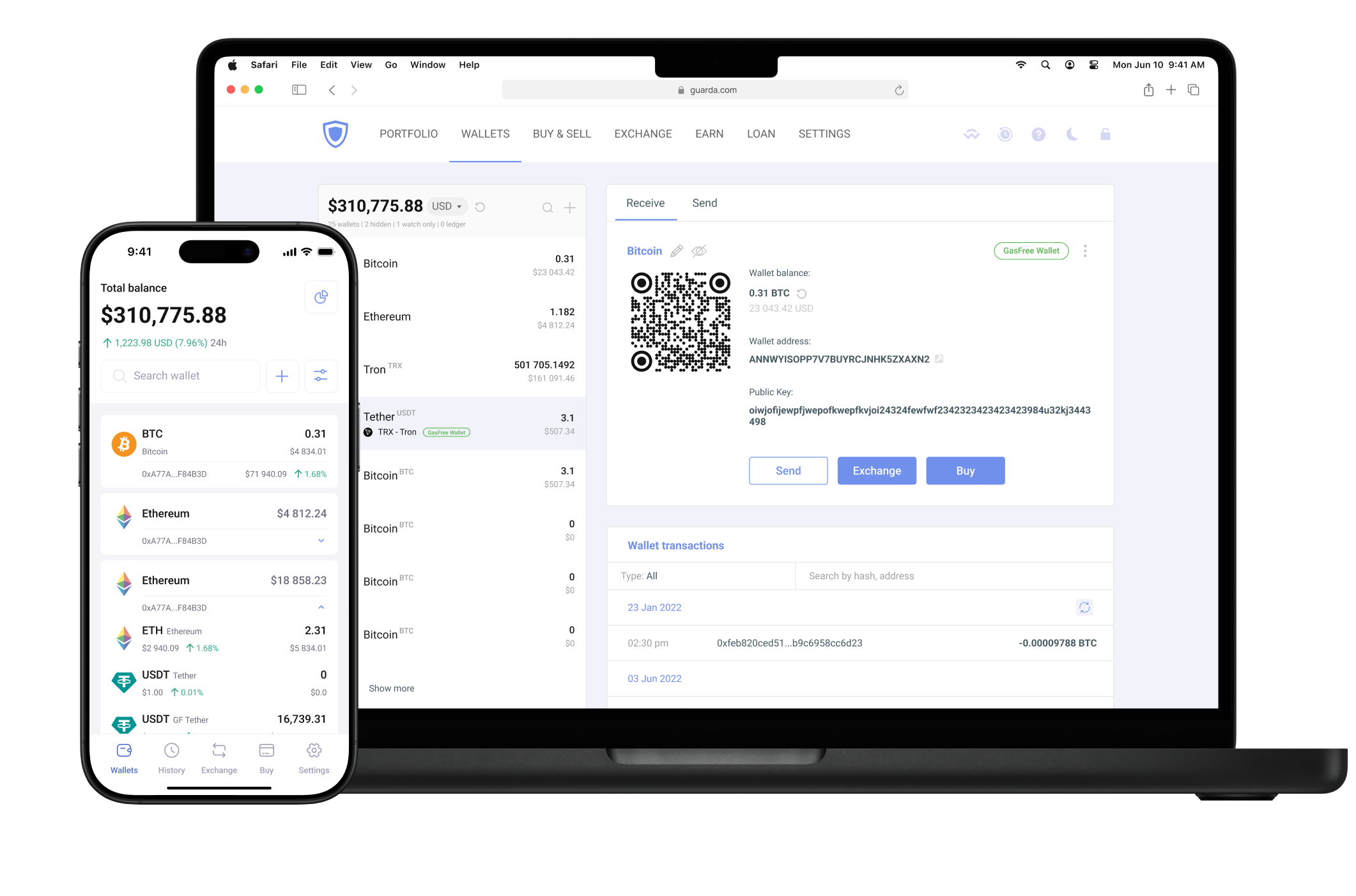 Download Guarda Wallet